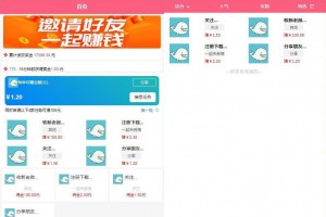 任务接单平台源码自动挂机阅读文章赚钱系统-附高清视频教程