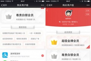 【Discuz会员组插件】新版本Discuz付款选购vip会员组 商业源码