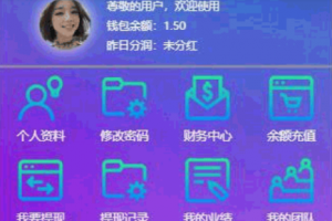 罗迪共享汽车链源码+对接支付接口+完整会员推广系统