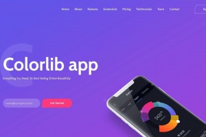 HTML5 APP项目展示响应式网页模板下载