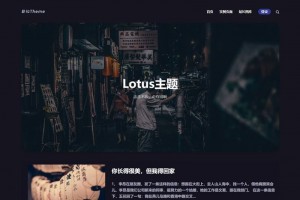 WordPress暗黑极客自媒体资讯博客主题Lotus1.1