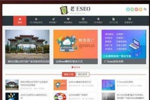 SEO优化技术教程网站源码 自适应手机端 织梦dedecms模板