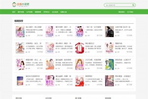 WordPress主题 免费小说主题XSnov