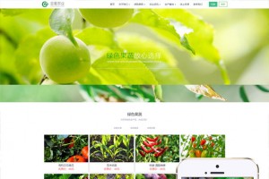 响应式生态水果蔬菜商城网站模板(自适应手机移动端) | 织梦dedecms