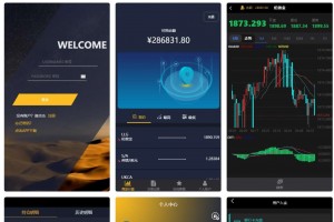 【微盘系统】新UI二开过K线正常[已过D盾清除后门]