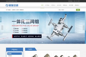 响应式防爆仪表管阀件公司网站模板源码 带手机端+后台