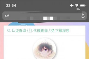 SF陌上花开授权系统源码V2.0