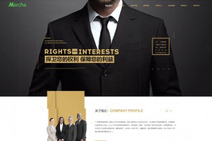 高端大气企业律师事务官方网站自适应源码