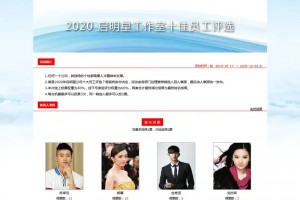 net源码 启明星投票系统vote v27.0