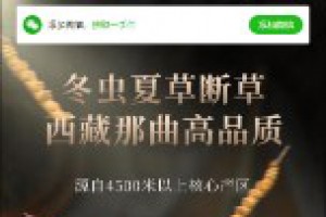 独立手机版营销推广落地页推广单页整站源码pbootcms内核落地页单页网站源码,可商用