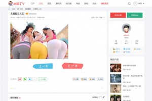 最新内涵段子Discuz模板 [带手机版+DIY文件]