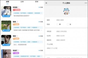 价值15800商业版游戏陪玩陪聊系统最新源码+视频教程+全套素材