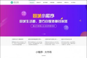 小程序制作公司产品展示网站源码,可以用来展示小程序业务,带展示案例,带手机端 