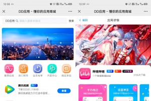 DD应用系统软件库网站源码