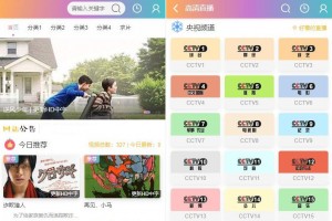 【亲测】精美UI 苹果cms手机版影视模板 二次元JOELEO
