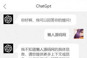 2023全新简易ChatGPT手机端源码 使用ChatGPT3.5版本 实测可用