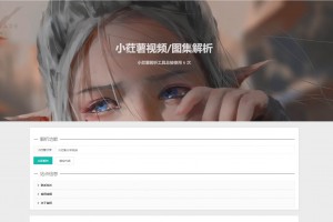 2023全新小红书图集和视频解析去水印网站源码