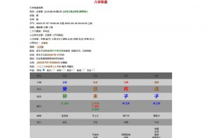 九龙道长同款样式八字排盘程序 八字排盘算命源码九龙道长同款样式八字排盘程序