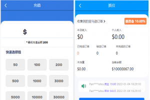 亚马逊抢单源码修正带教程版，自动抓取订单，十几种语言可自动切换