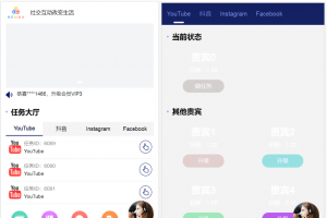 海外YouTube视频点赞刷单悬赏任务投资理财源码/tiktok国际版刷单理财
