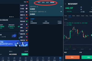 多语言交易所/12国语言/秒合约/申购/锁仓/K线完整/脚本最全/带教程/日夜模式