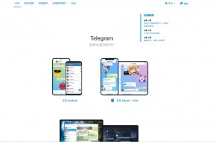 最新高仿TG假飞机源码