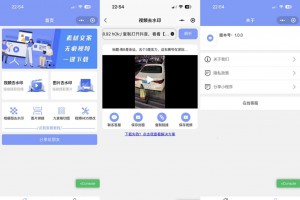 2023新版 多功能去水印工具微信小程序源码_带流量主功能