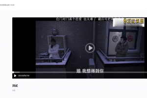 BGS本地局域网视频系统源码