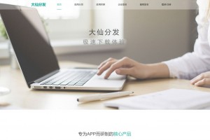 Thinkphp内核app分发系统大仙分发平台源码第一个版本