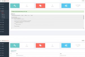 翼王定制授权系统+盗版追踪+域名IP双授权+在线加密系统