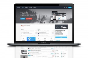 VieuV4.5主题_WP响应式博客资讯自媒体博客模板去授权版[wordpress模板]