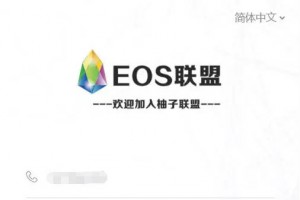 柚子EOS联盟系统源码