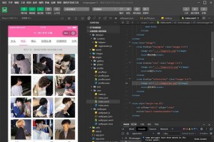 多套头像/壁纸/背景图资源微信小程序源码 粉色UI 带流量主