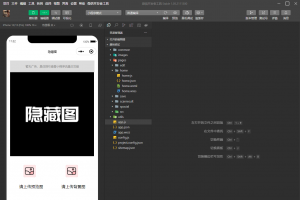 趣味装逼恶搞娱乐小程序源码_支持流量主