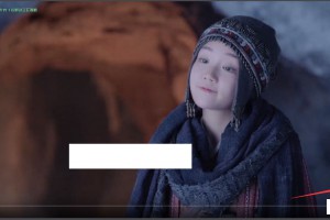 dplayer播放器增加记忆 P2P播放 自动下一集 弹幕功能