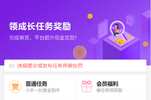 2022最新UI任务悬赏抢单源码 附带安装教程