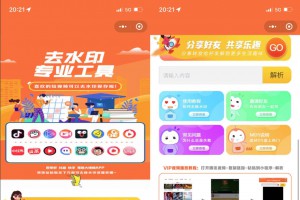 2022最新版去水印小程序源码