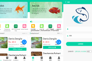 养鱼金融投资理财源码 支持商城 抽奖 投资收益余额宝等！ 双语言支持中英文