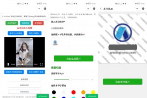 简约短视频去水印加图片多样化加水印微信小程序源码下载支持多流量主