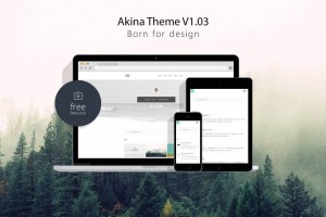 极简主题Akina WordPress主题