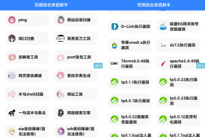 荧惑网站渗透源码 IAPP