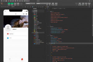 2022全新微信表白墙小程序源码