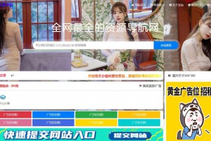 2022最新总裁导航系统源码全开源版本下载