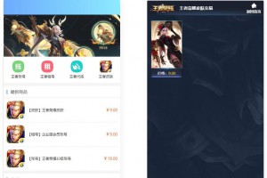 某站价值100的王者荣耀代练/账号交易/皮肤交易/系统源码