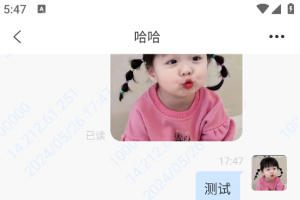 2024最新5月简聊im即时通讯源码/带搭建图文教程