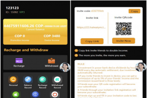 海外Amazon多语言投资理财系统源码 支持多语言的Amazon投资理财系统代码