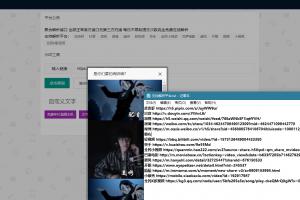 php开发的聚合短视频去水印解析程序源码