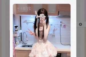 网站集成动态舞蹈视频模块，为网站侧边栏增添趣味互动元素