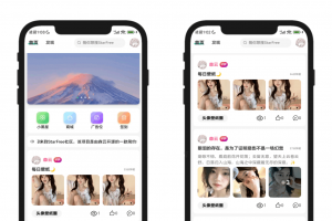 2025最新唯美社区StarFree源码