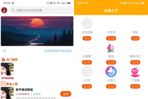 uniapp+vk框架打造的一站式软件库源码，含软件商店与直播盒子功能